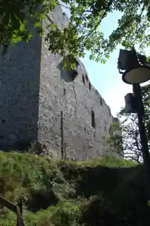 Radyně