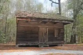 Slave Houses, Gregg Plantation
