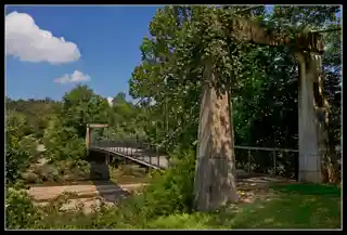 Haggard Ford Swinging Bridge