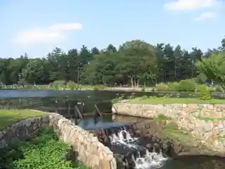 D. W. Field Park