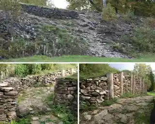 Varbola