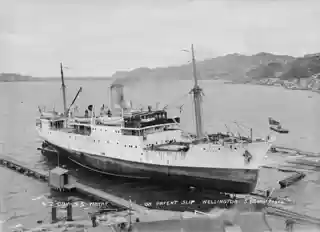 Evans Bay Patent Slip