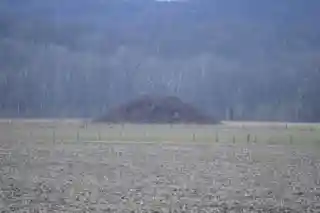 Karshner Mound