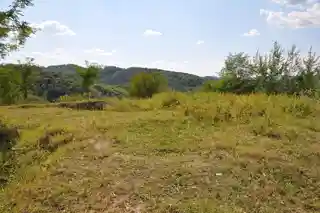 Buridava