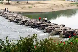 Jincheon Nongdari Bridge