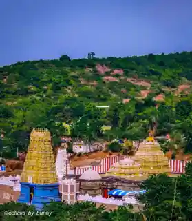 Sri Varaha Lakshmi Narasimha temple, Simhachalam