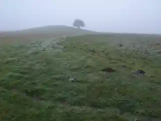 Bush Barrow