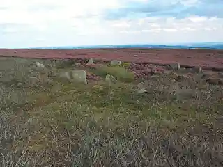 Grubstones