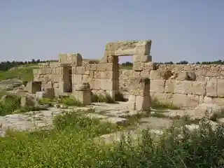 'Anim Synagogue