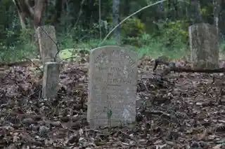 Newton Homesite and Cemetery