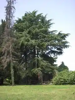 Villa Brivio