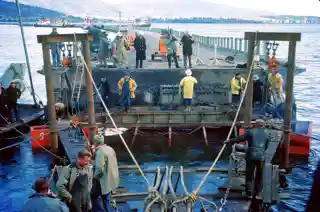 Hobart Bridge