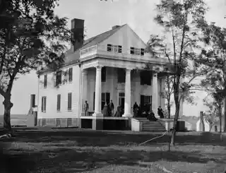 Auburn