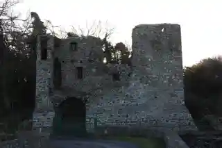 Mahee CastleNendrum Castle