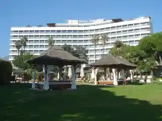 Hotel Gran Meliá Don Pepe