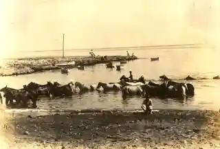 Caleta de San Lázaro