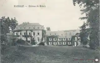 Château du Moisnil