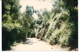 10050 Cielo Drive