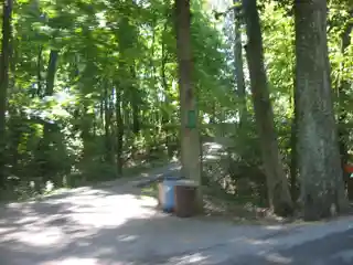 Jersey Park Farm