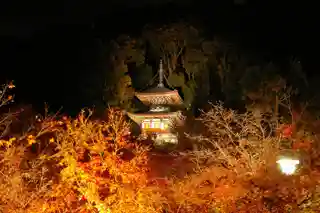 Eikan-dō Zenrin-ji永観堂禅林寺