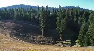 Canyon Dam