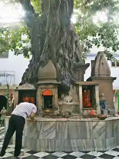 Sankata Devi Mandir