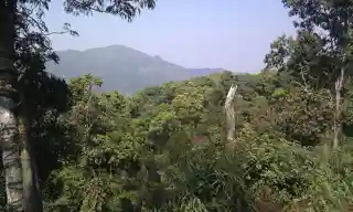 Kaeng Krachan Forest Complex