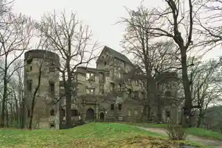 Świny Castle