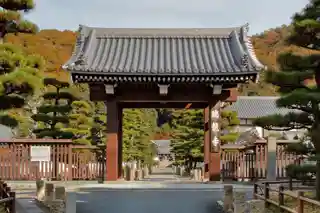 Zuiryū-ji瑞龍寺