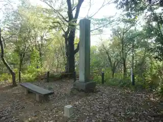Sagiyama Castle