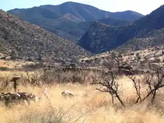 Dragoon Springs Stage Station Site