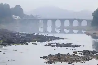 Ziyang Bridge