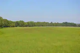 Wade Archeological Site
