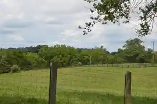 Maple Springs