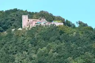Rietburg