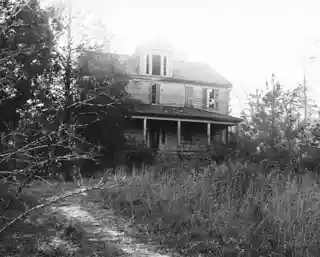Zante Plantation