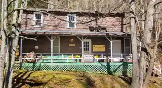 Thompson's Bromine and Arsenic Springs