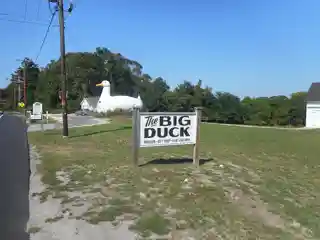 Big Duck Ranch