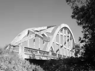 Wilson River Bridge No. 01499