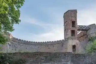 Dilsberg Castle