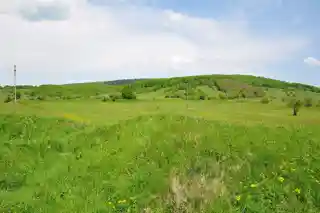 Angustia