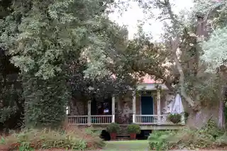 Desire Plantation