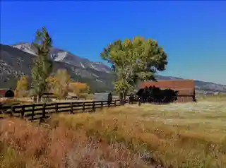 Twaddle--Pedroli Ranch