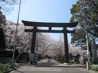 Aichi Gokoku Shrine