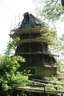 De Rietvink, Nijetrijne