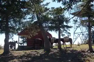 Mogollon Baldy Lookout Cabin
