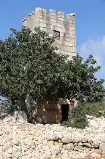 Tower of Gömeç
