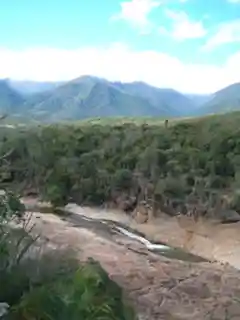 Rainforests of the Atsinanana