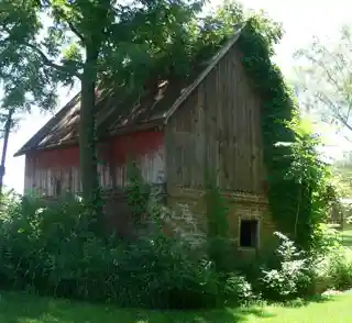 Pitz, Gottfried Gustav, Barn