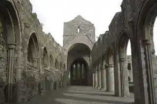 Boyle Abbey